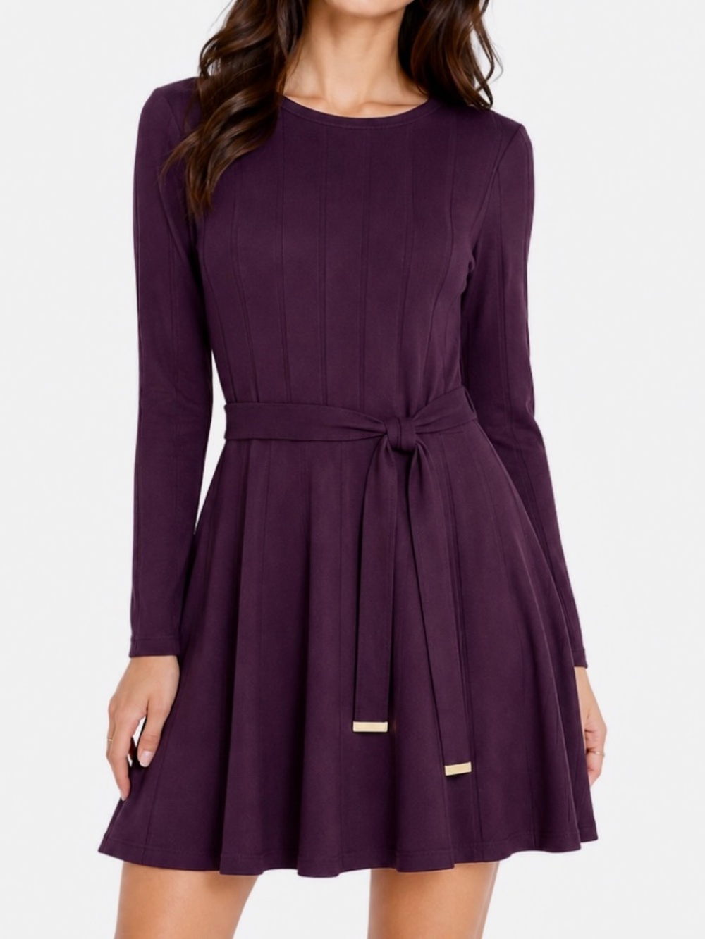 Women's Petite Plum Sweater Dress